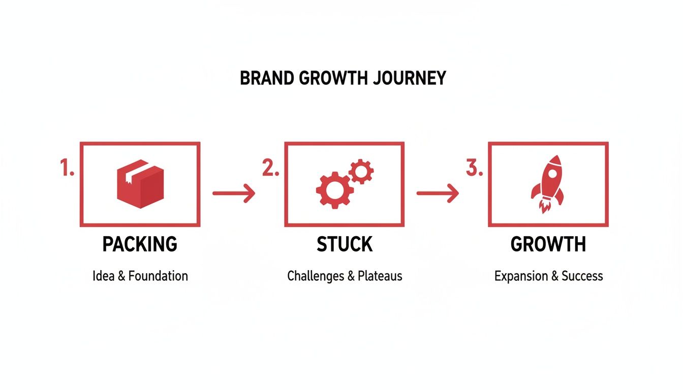 Diagram showing the Brand Growth Journey in three steps: Packing, Stuck, and Growth, with corresponding icons.